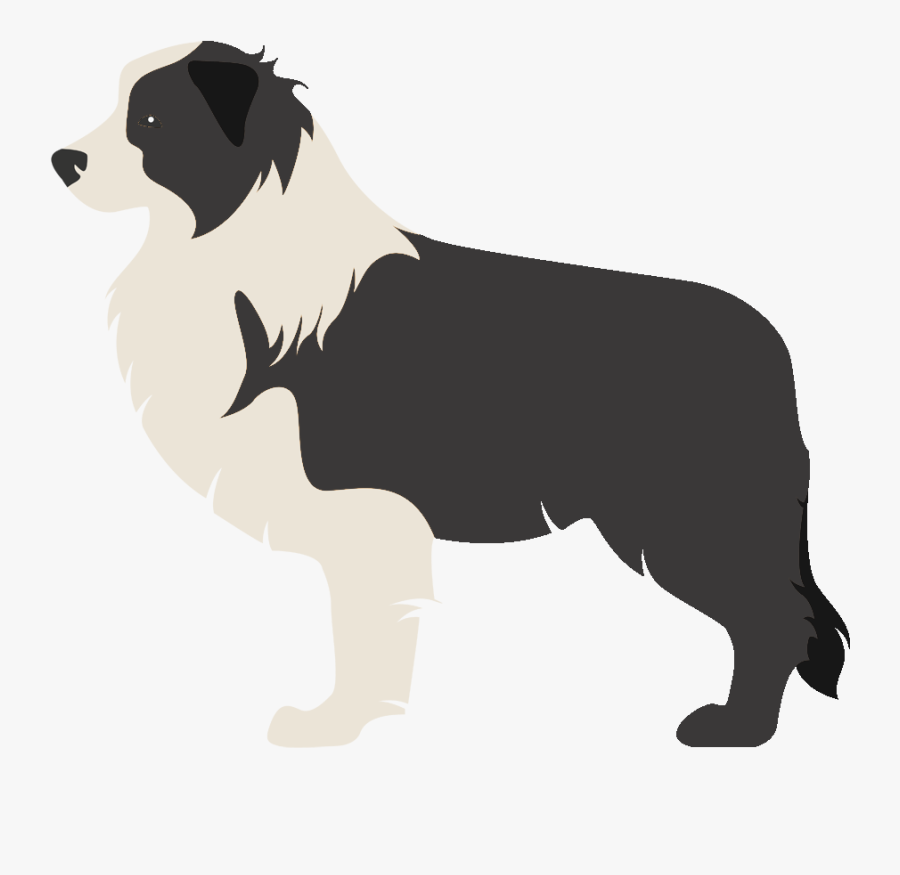 Border Collie Rough Collie Scotch Collie Old English - Border Collie, Transparent Clipart