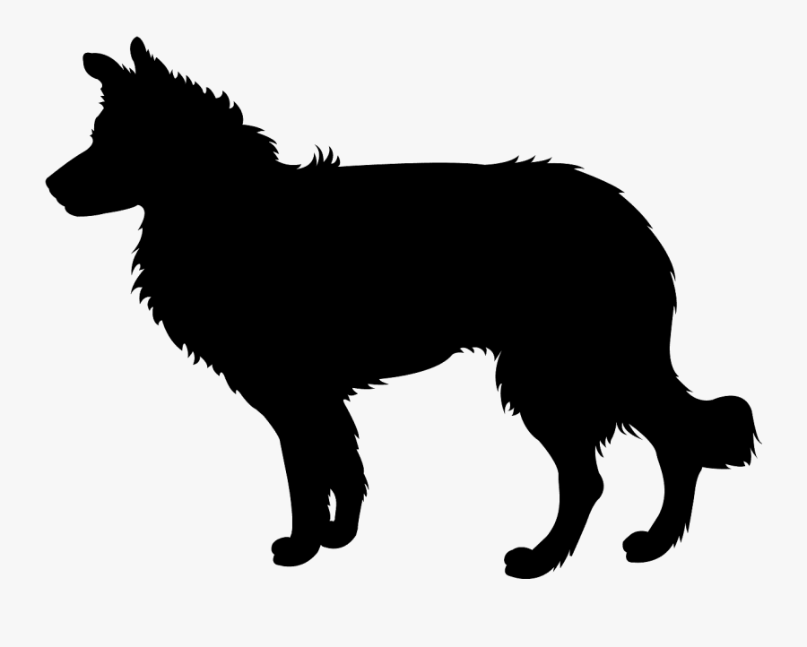 Border Collie Dog Silhouette, Transparent Clipart