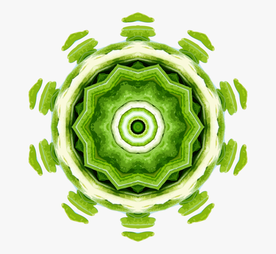 Food,fruit,green - Circle, Transparent Clipart