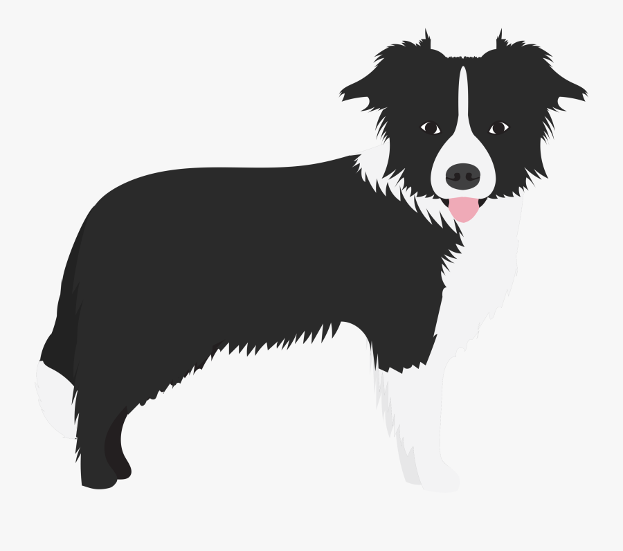 Border Collie - 9 Dogs Clipart, Transparent Clipart