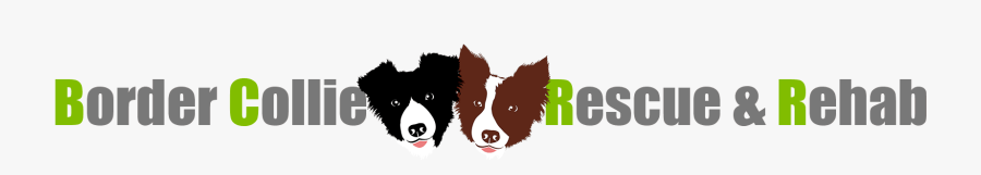 Dog Catches Something, Transparent Clipart