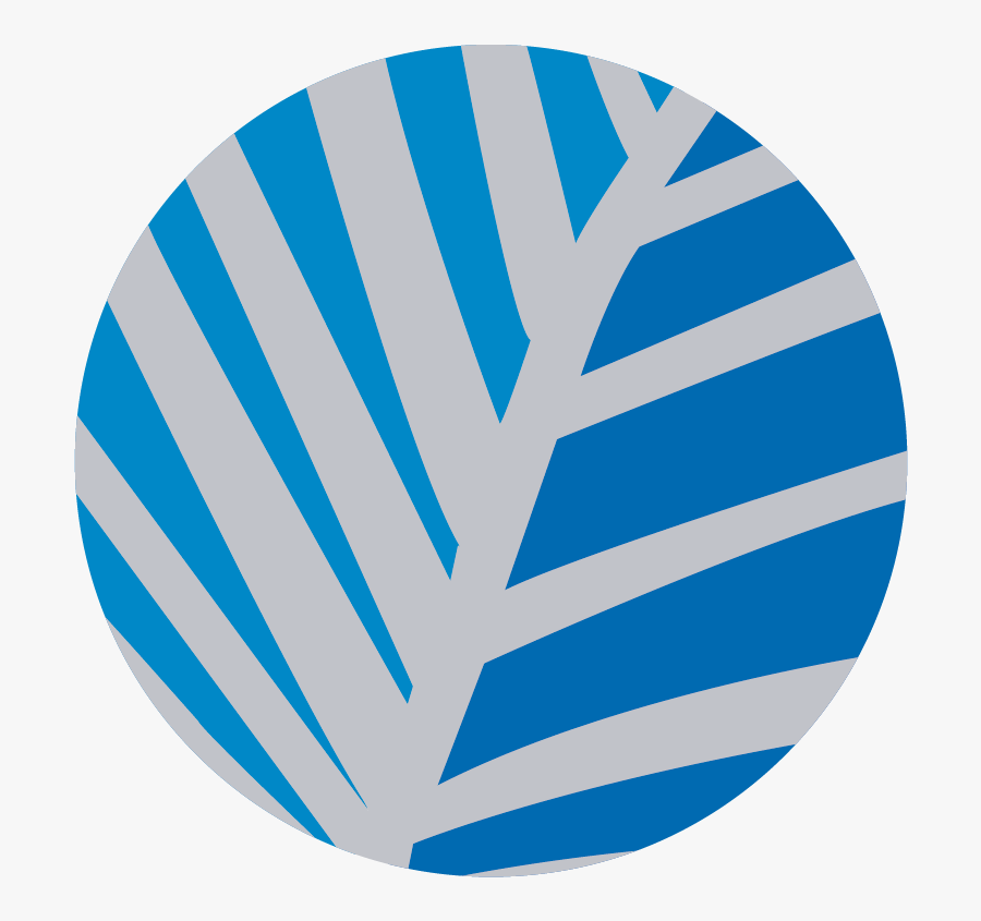 User - Ain Al Khaleej Hospital Logo, Transparent Clipart