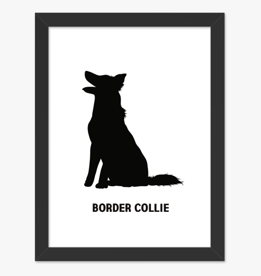 Quadros Decorativos Border Collie, Transparent Clipart