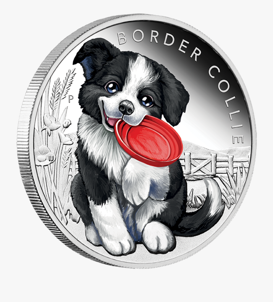 邊境 牧羊 犬 卡通, Transparent Clipart