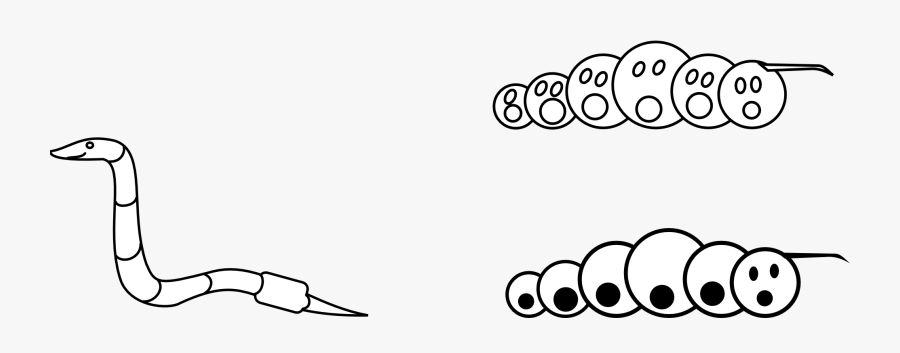 Black And White Wall Worm, Transparent Clipart