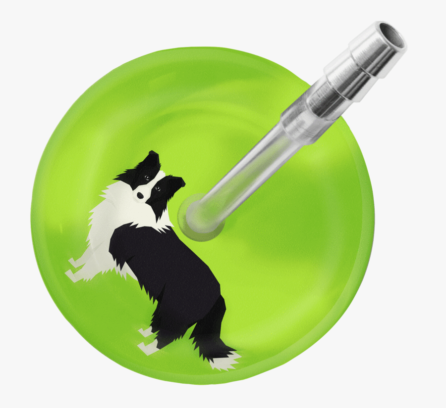 Dog Catches Something, Transparent Clipart