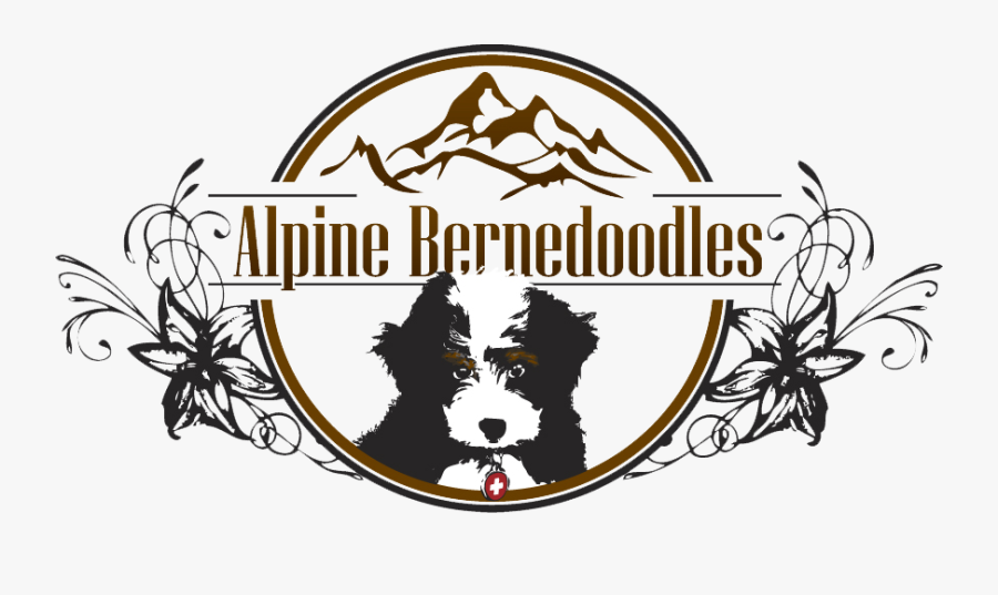 Alpine Bernedoodles Logo - Alpine Bernedoodle, Transparent Clipart