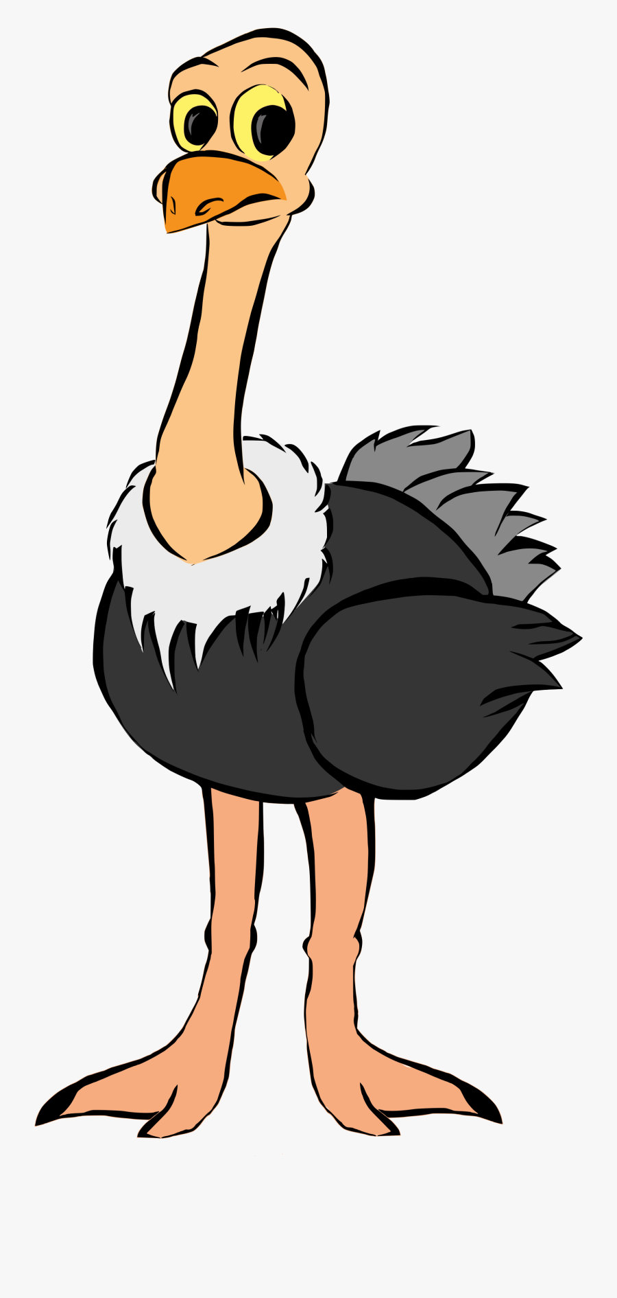 Transparent Ostrich Cliparts - Clipart Picture Of Ostrich, Transparent Clipart