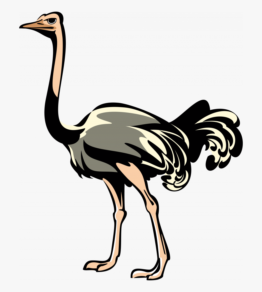 Download This High Resolution Ostrich Transparent Png - Ostrich Sand Icon Transparent Background, Transparent Clipart