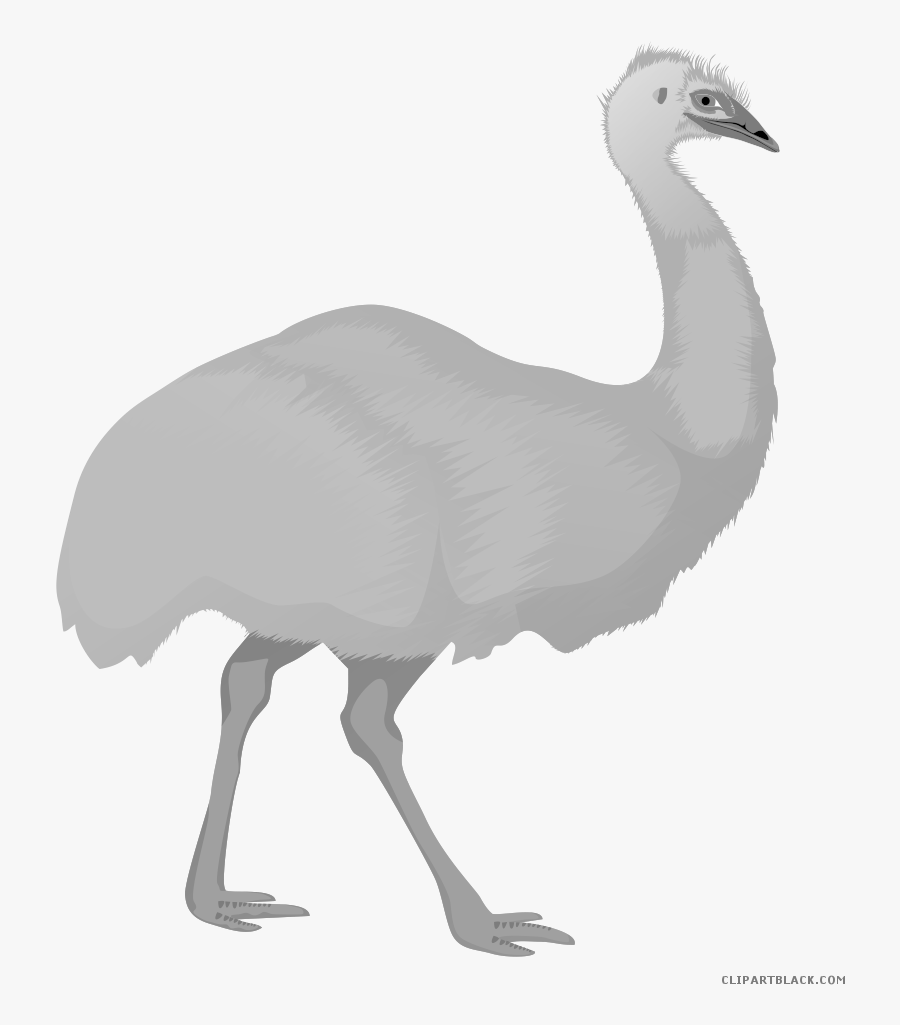 Transparent Ostrich Cliparts - Emu Cartoon Png, Transparent Clipart