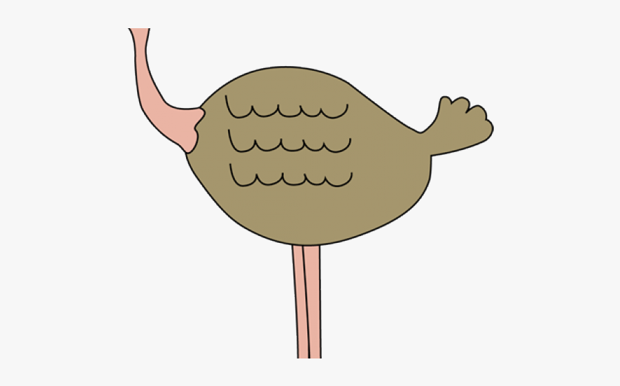 Ostrich Cliparts, Transparent Clipart