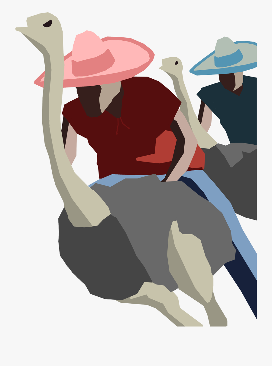 Travel Posters Design Debut - Flightless Bird, Transparent Clipart