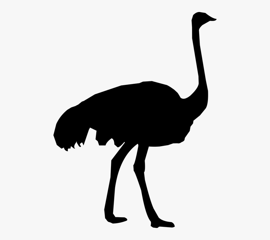 Ostrich Silhouette Png, Transparent Clipart