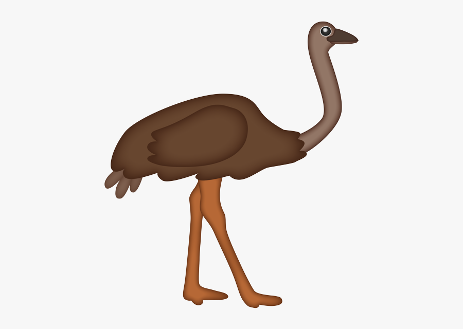 Ostrich, Transparent Clipart