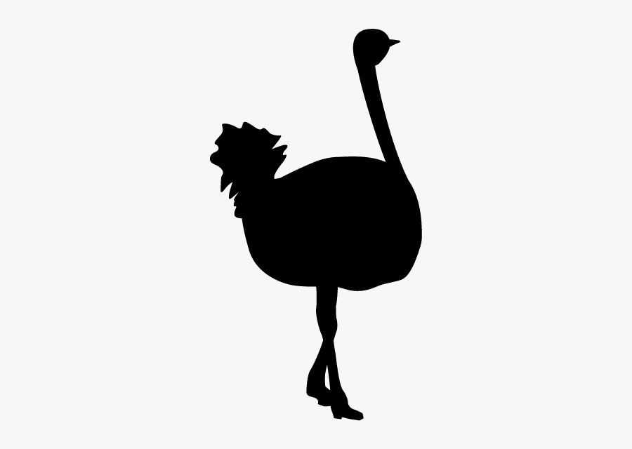 Ostrich, Transparent Clipart
