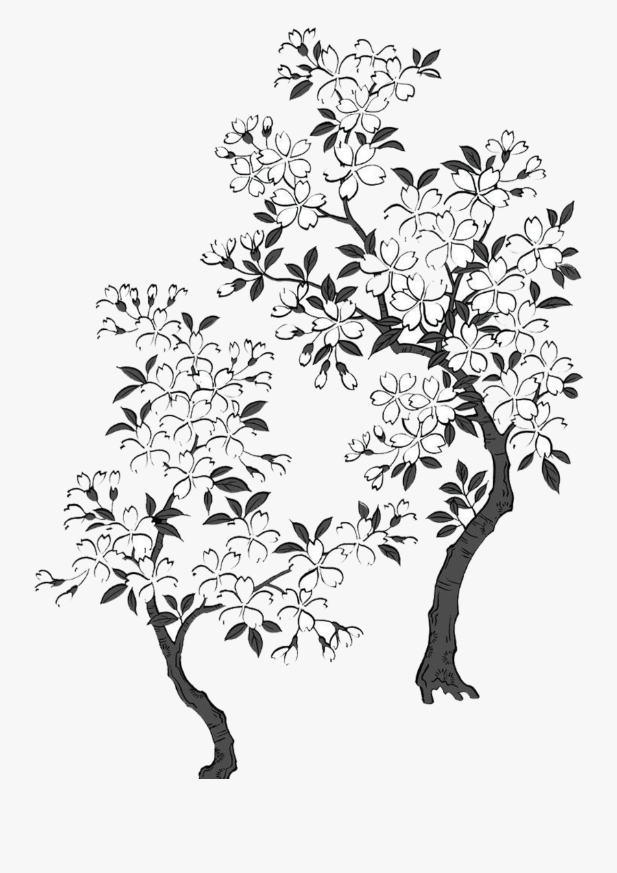 Black And White Blossom - Cerezo Blanco Y Negro, Transparent Clipart