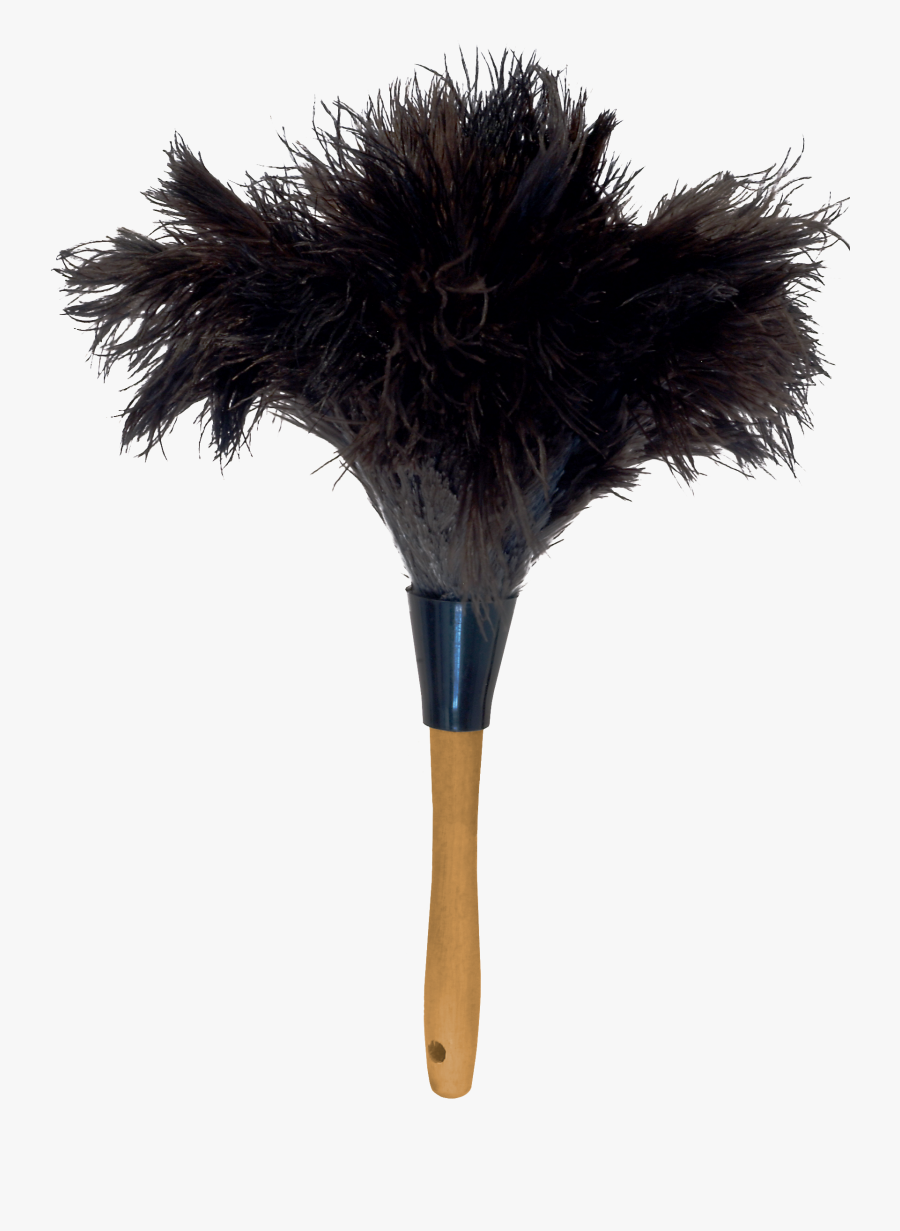 Transparent Ostrich Clipart - Ostrich Feather Duster Png, Transparent Clipart
