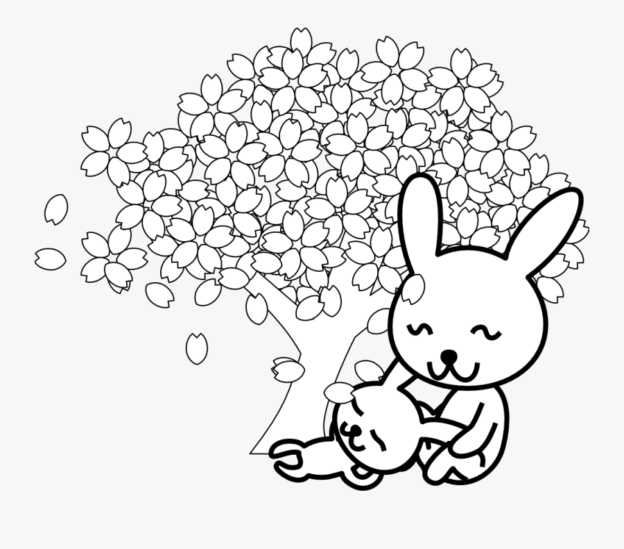 Cherry Blossom, Transparent Clipart