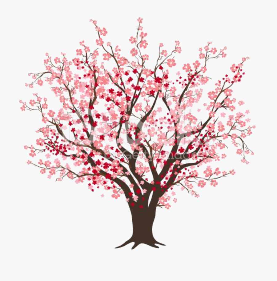 #ftestickers #clipart #cherryblossom - Drawn Cherry Blossom Tree, Transparent Clipart