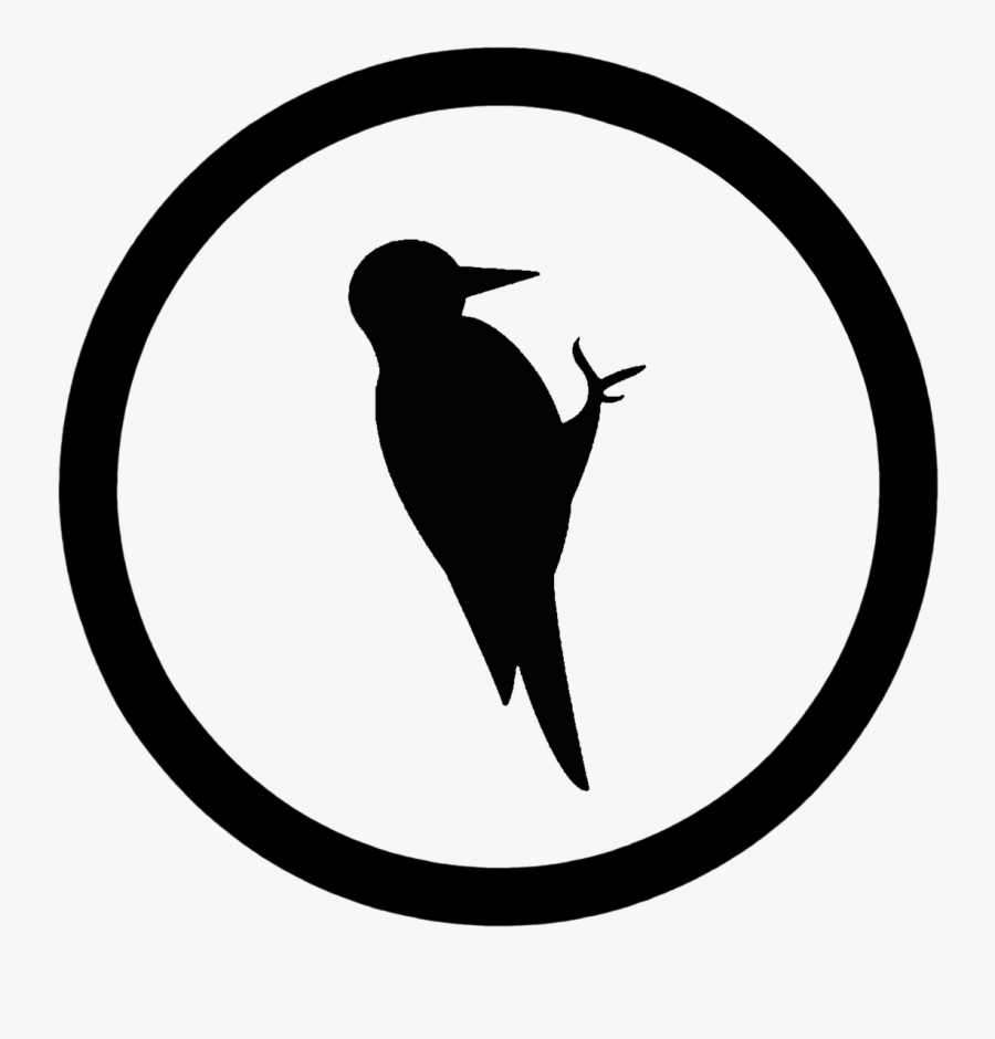 Bird Creatures Life Free Picture - Logo Tél Png, Transparent Clipart