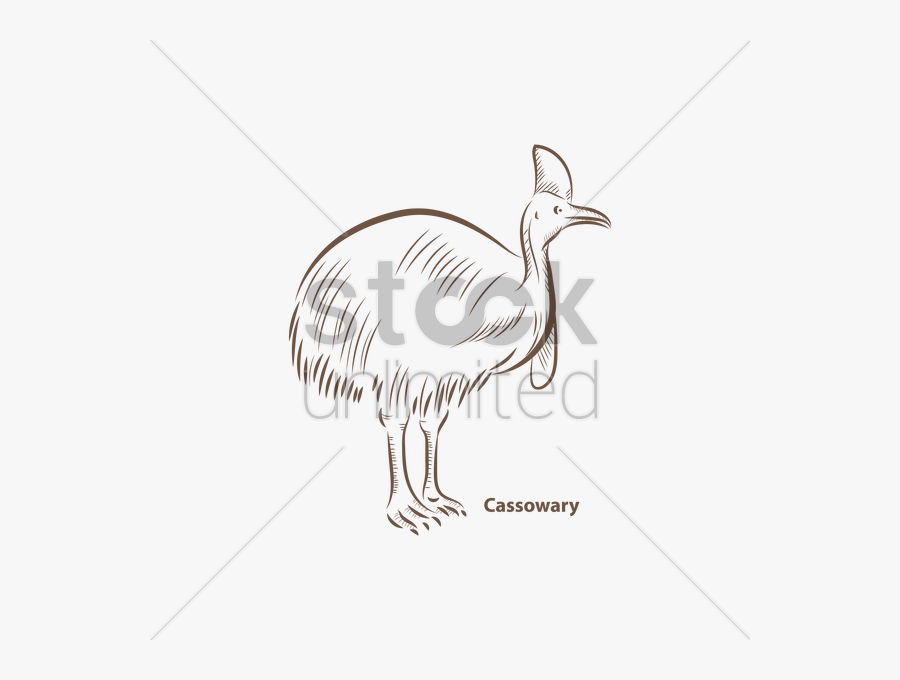 Cassowary Vector Image - Emu, Transparent Clipart