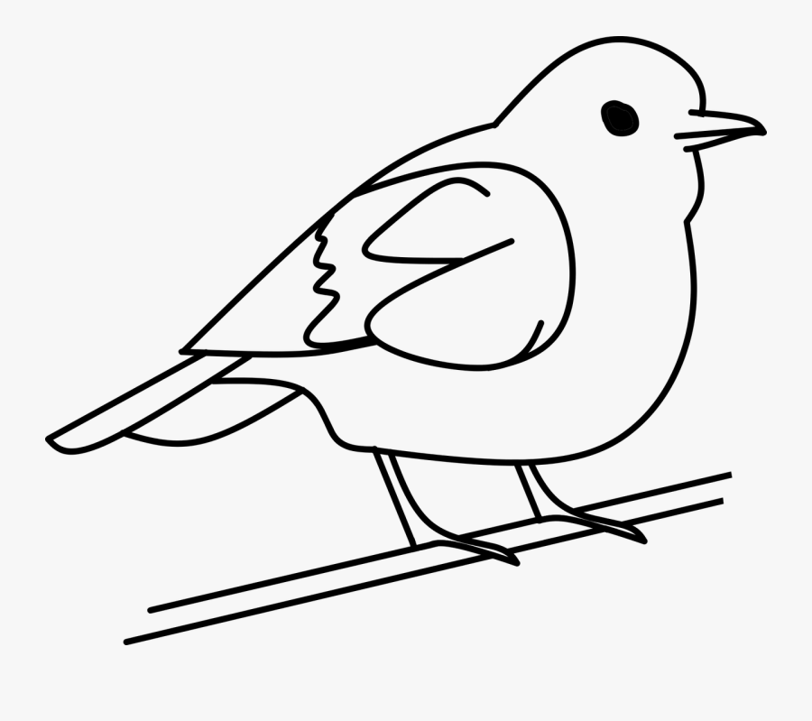 Bird Tree Out Line Free Picture - Bird Black And White Png, Transparent Clipart