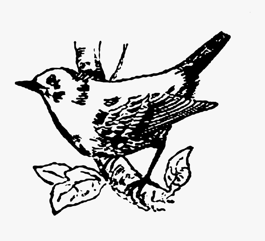 Sparrow, Transparent Clipart