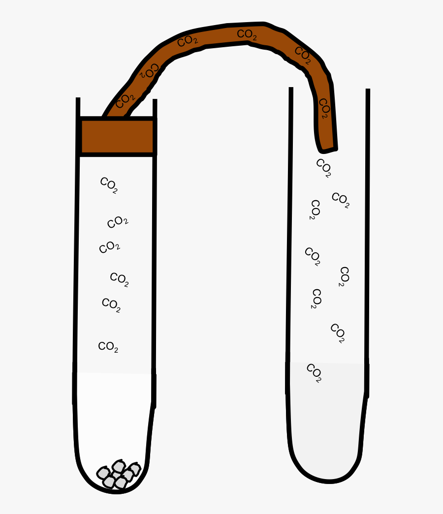 Hcl Ca 2 Expt - Lime Water In Chemistry, Transparent Clipart
