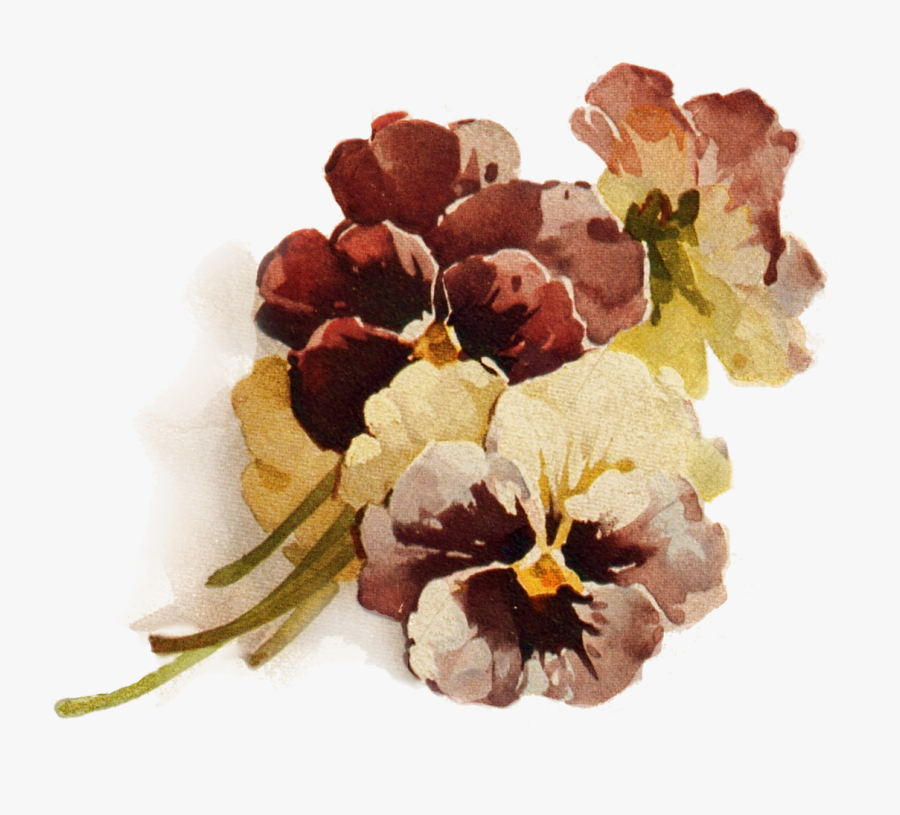 Brown Flower No Background, Transparent Clipart