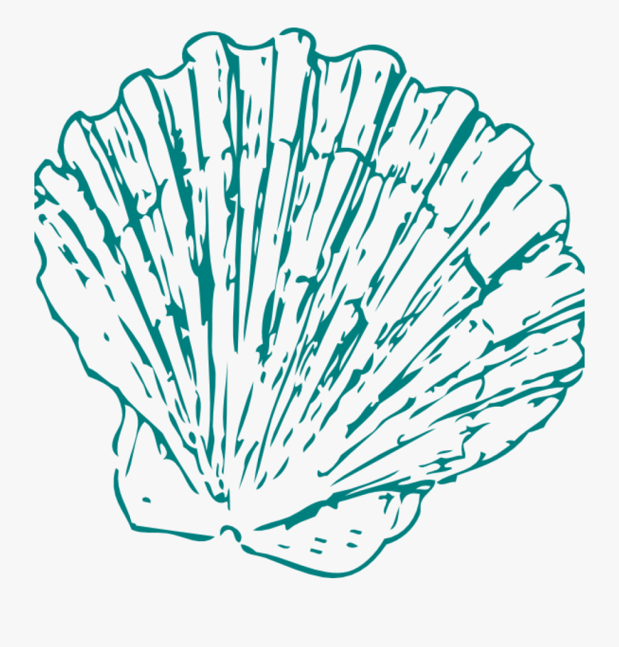 Seashell Clipart Greeen Sea Shell Clip Art At Clker - Sea Shell Illustration Png, Transparent Clipart