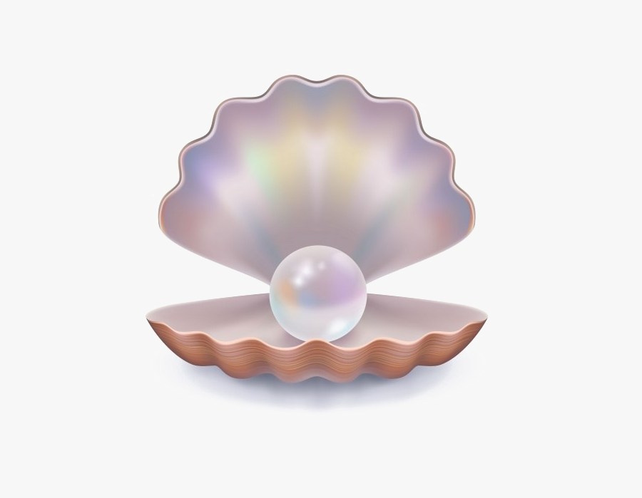 Download Pearl Background Png - Pearl In Shell Png, Transparent Clipart
