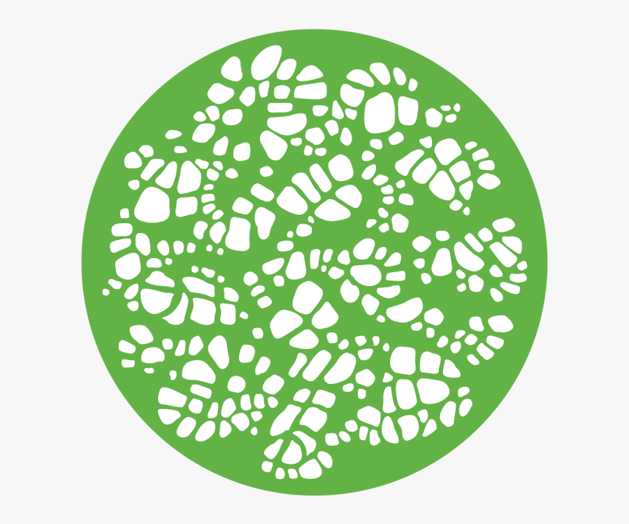 Turtle Shell Clipart , Png Download - Turtle, Transparent Clipart