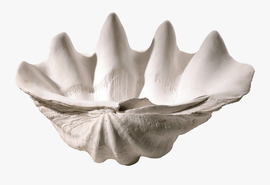 Transparent Clam Shell Png - Large Clam Shell Bowl, Transparent Clipart