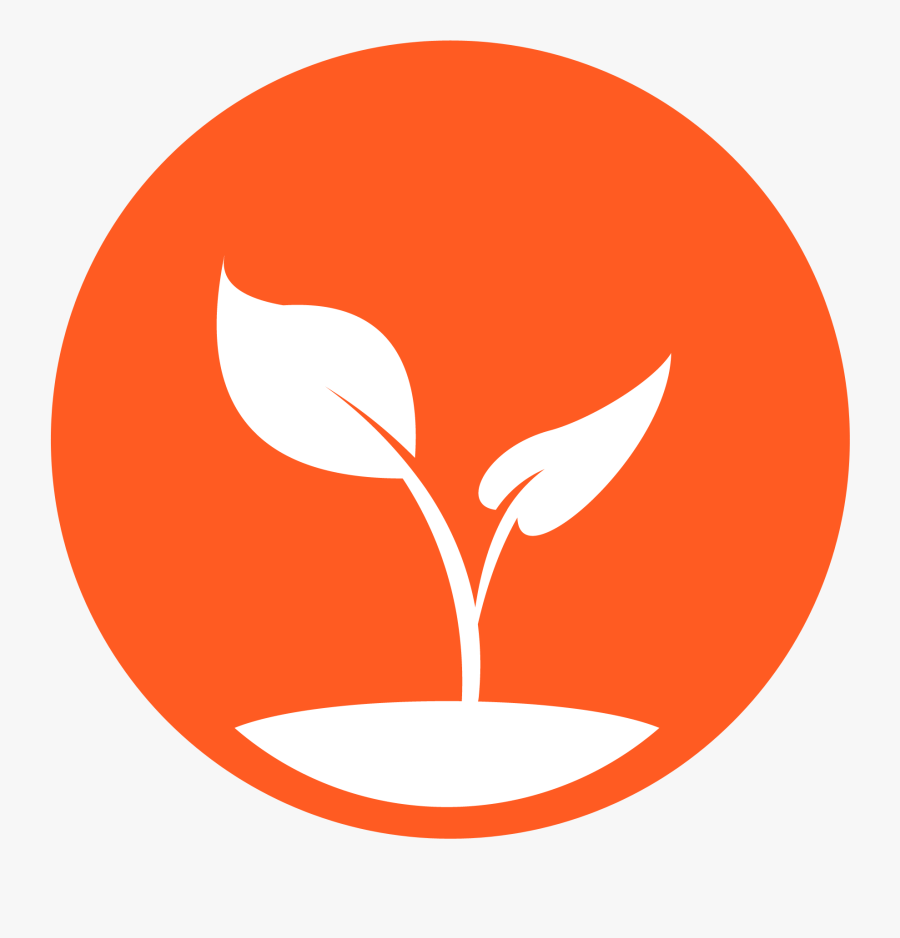 New To Cannabis Program - Plant Sprout Vector, Transparent Clipart