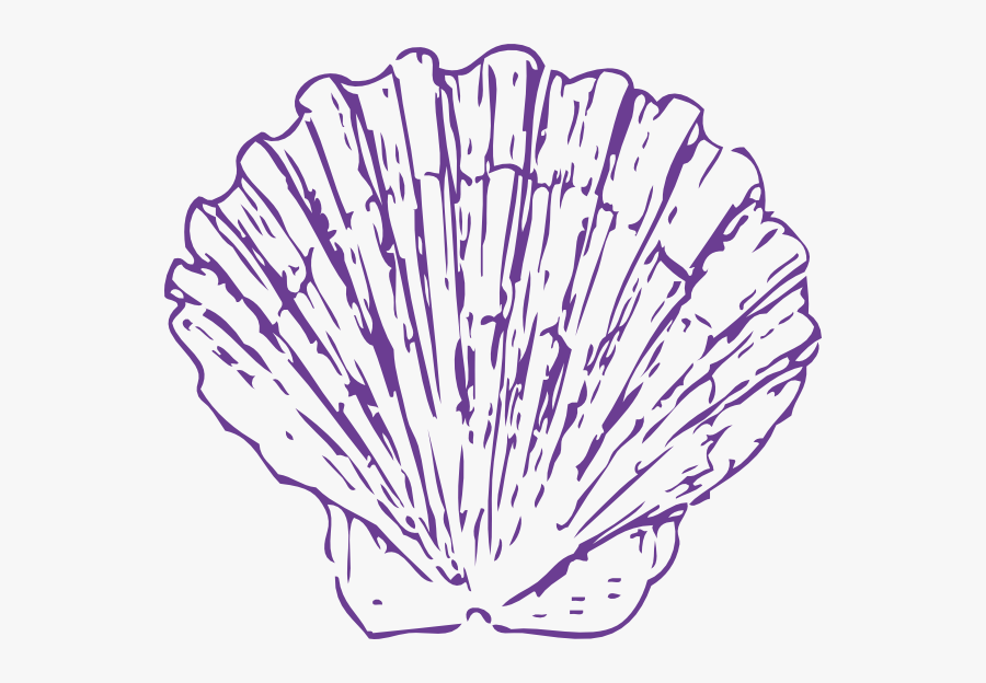 Scallop Clip Art, Transparent Clipart