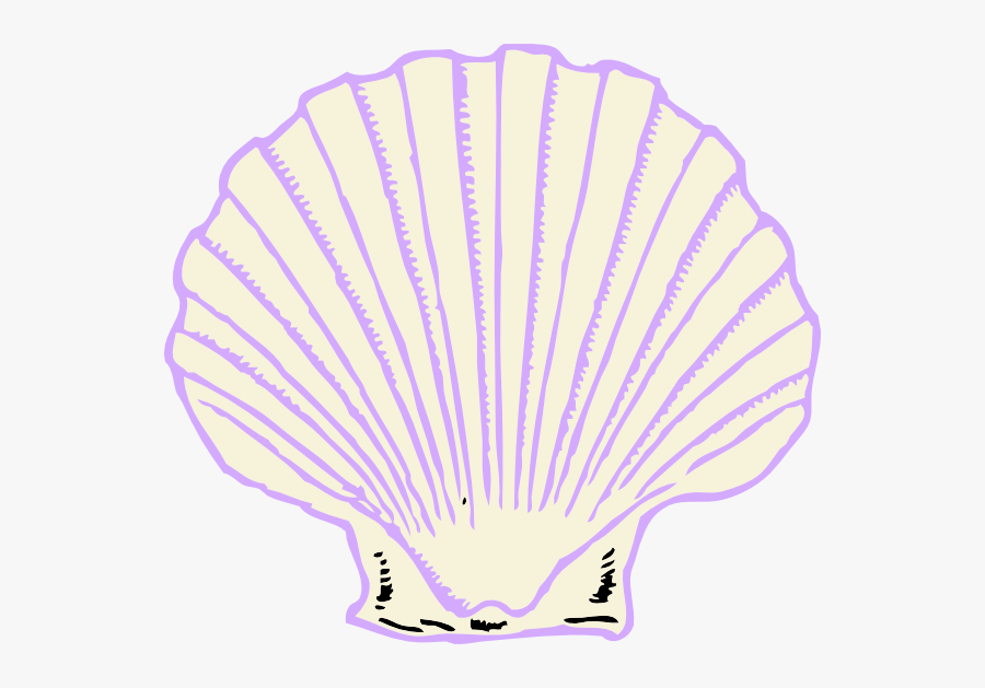 Purple Shell Clipart Png - Shell Clip Art, Transparent Clipart