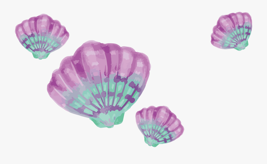 Transparent Watercolors Clipart - Watercolor Shell Png, Transparent Clipart