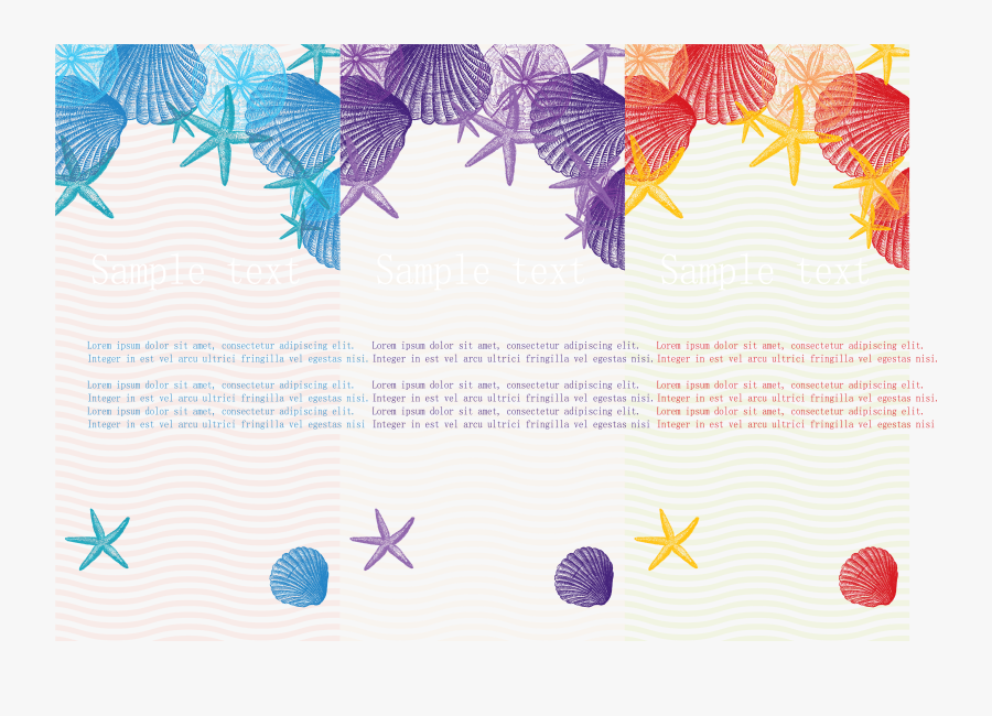 Seashell Beach Sand - Paper, Transparent Clipart