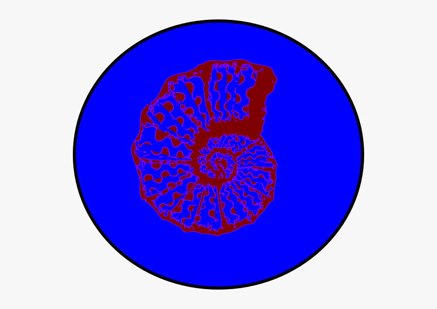 Poodle Negro, Transparent Clipart