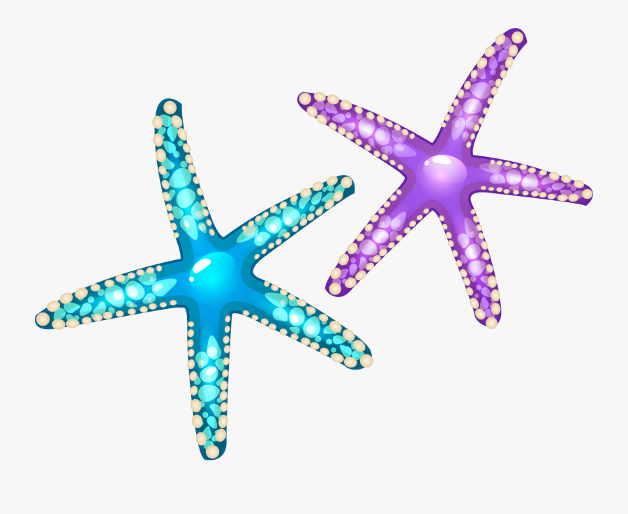 Starfish Euclidean Vector Seashell - Seashell Star Fish Png, Transparent Clipart