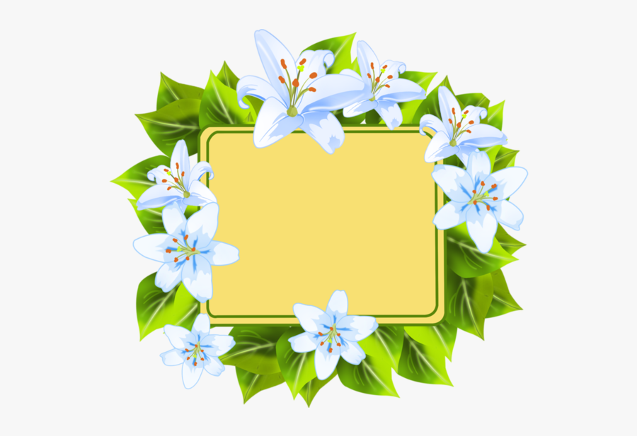 Lily Family, Transparent Clipart