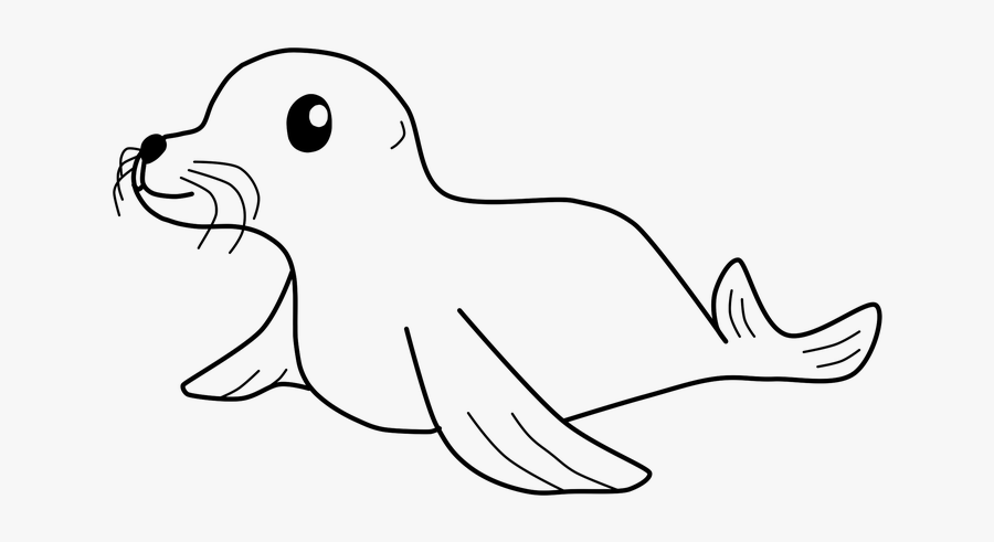 Seal, Cute, Mammal, Wildlife, Adorable, Marine, Aquatic - Seal Black And White Transparent, Transparent Clipart