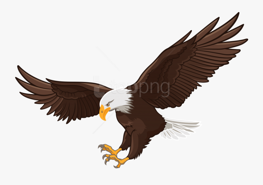 Free Png Download Eagle Clipart Png Photo Png Images - Bald Eagle Flying Drawing, Transparent Clipart