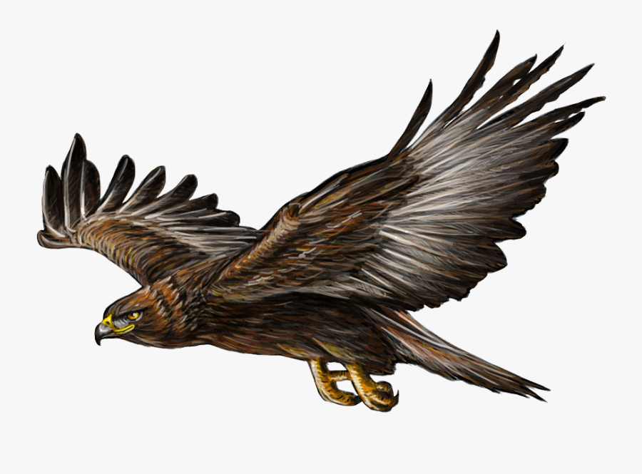 Transparent Golden Eagle Png - Clip Art Golden Eagle, Transparent Clipart