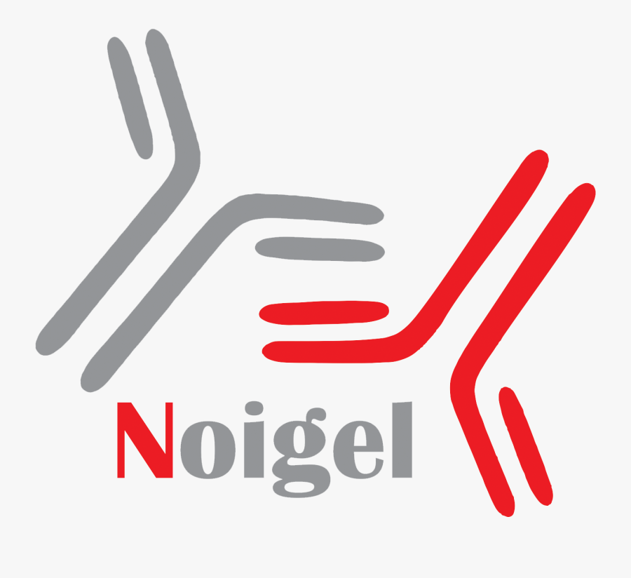 Noigel Logo - Seachtain Na Gaeilge, Transparent Clipart