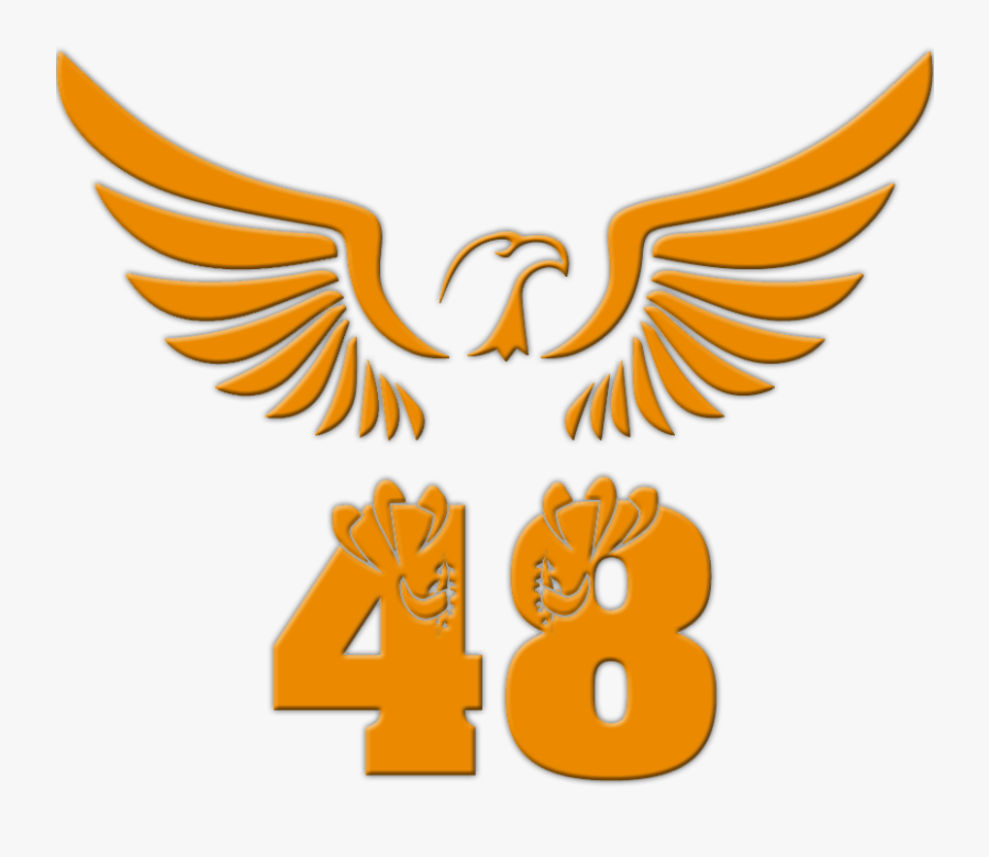 Troop 48 Eagle - Eagle, Transparent Clipart