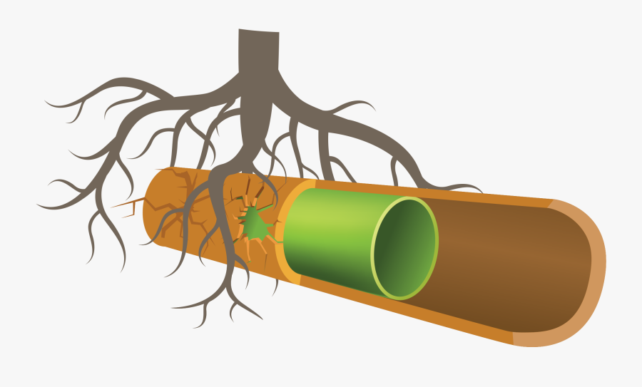 Pipe Lining Illustration - Pipe Relining, Transparent Clipart