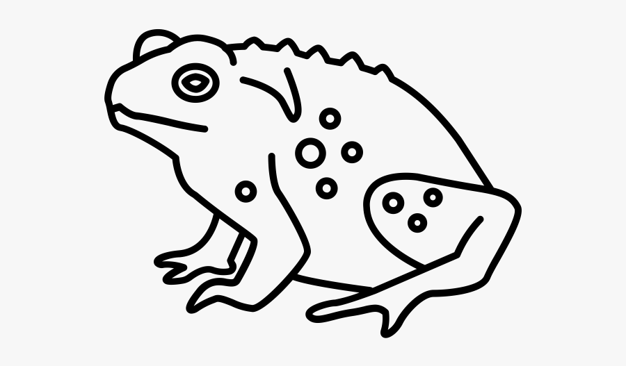 Rubber Stamps Stampmore Page - Draw A Cane Toad, Transparent Clipart