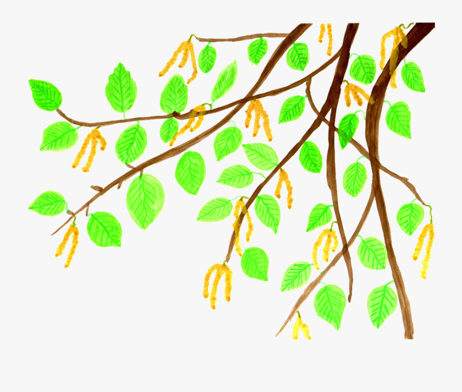 Transparent Watercolors Clipart - รูป ธรรมชาติ การ์ตูน Png , Free