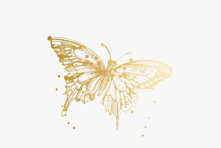 Butterfly Tattoos Temporary Accept Watercolor Tattly - Monarch Butterfly Tattoo Drawing, Transparent Clipart